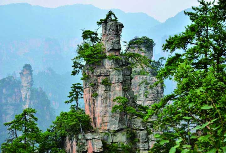 Nature11